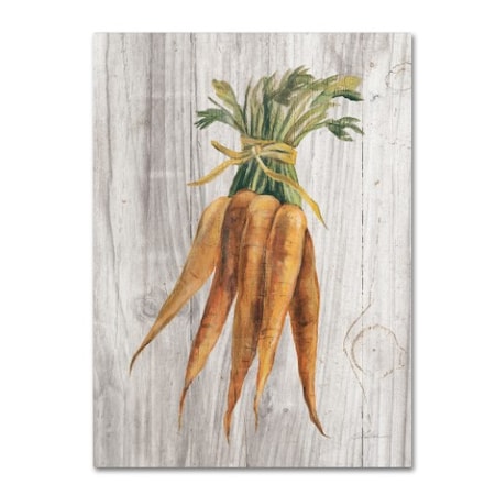 Silvia Vassileva 'Market Vegetables I' Canvas Art,35x47